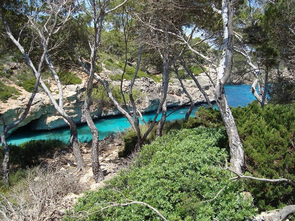 Marina D Or Apartment Cala d'Or